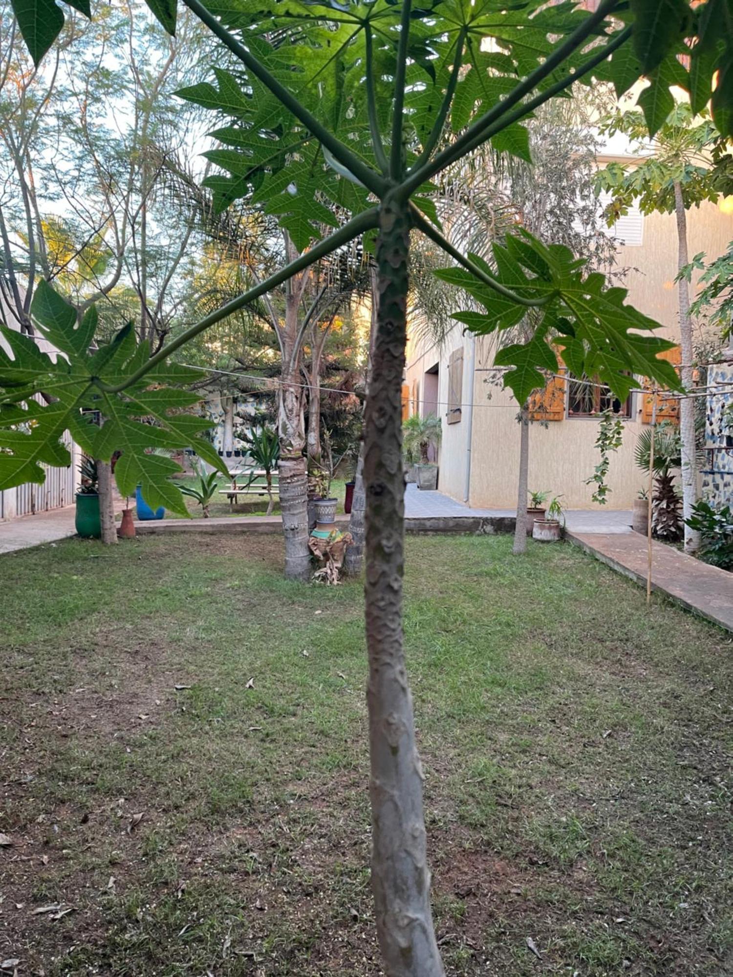 Riad Targante Takate 1 Sidi Bibi エクステリア 写真
