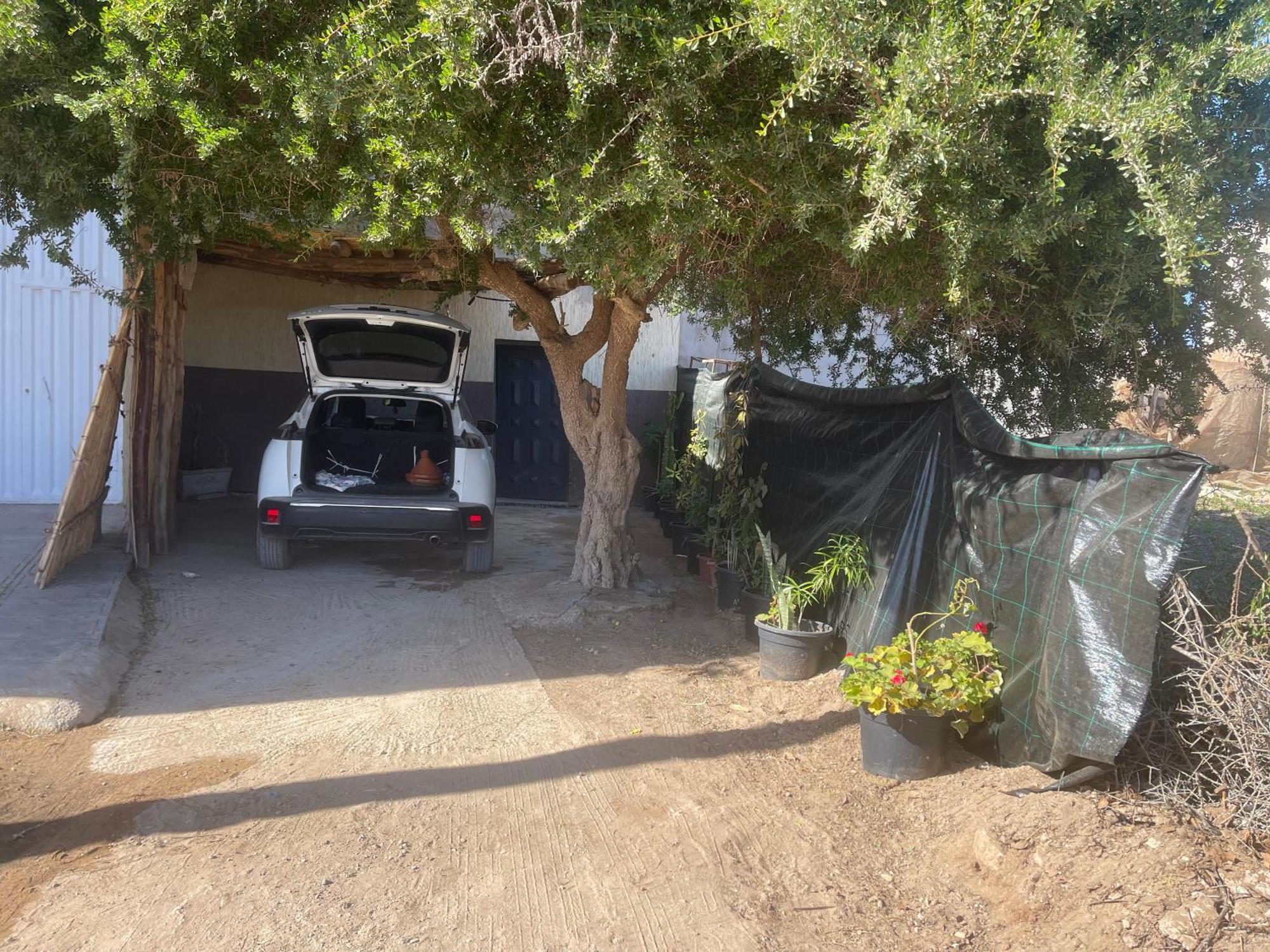 Riad Targante Takate 1 Sidi Bibi エクステリア 写真
