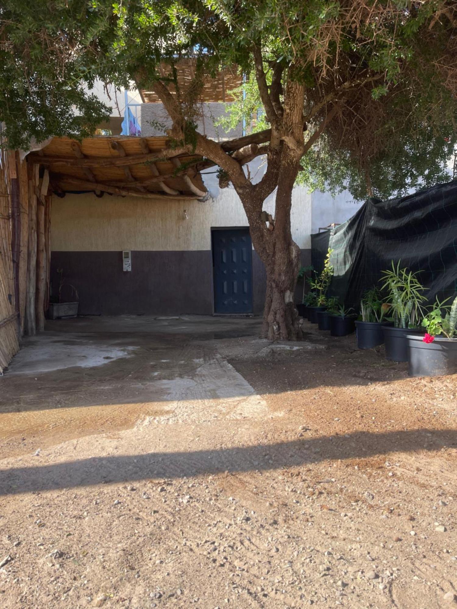 Riad Targante Takate 1 Sidi Bibi エクステリア 写真