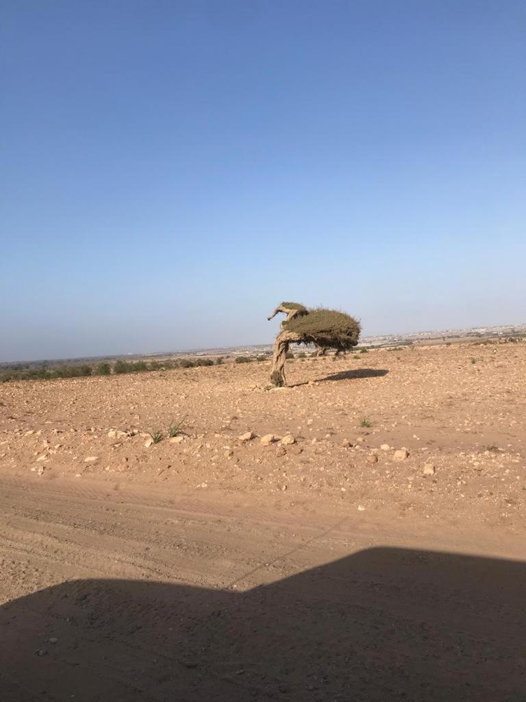 Riad Targante Takate 1 Sidi Bibi エクステリア 写真